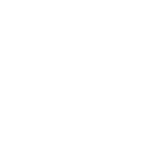 fastlink