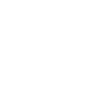 menai renginiai