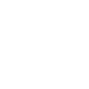 menai renginiai