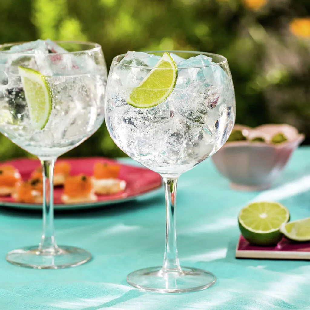 Kokteilis GIN AND TONIC