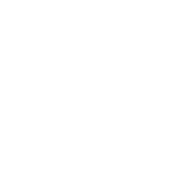 dainora events