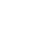 dainora events